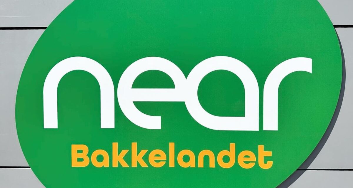 Nøglebrik til Near Bakkelandet