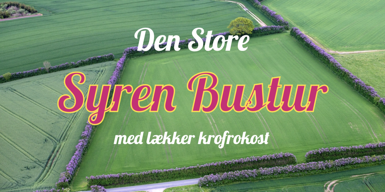 Tilbud i Bakkelandet: Den store Syren Bustur med krofrokost