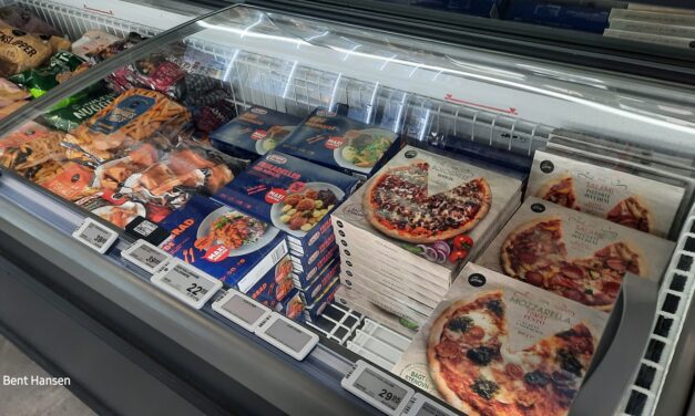 Dybfrost & Nøglebrik