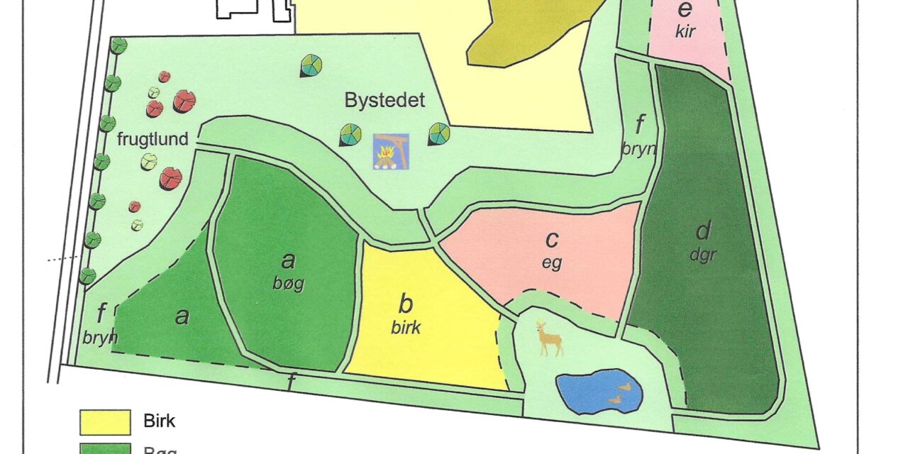 Skovrejsningsprojekt