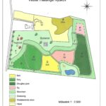 Skovrejsningsprojekt