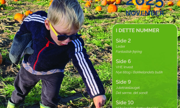 BakkelandsBladet november 2025