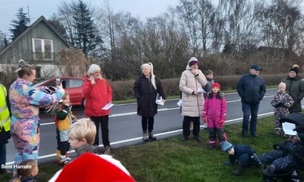Julemusik – juletræer og lys skyder julen ind – kom og vær med