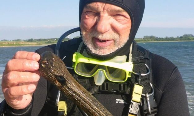 Fredagscafe’ i Præstegården