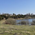 Påskens Gudstjenester og Påskevandring.