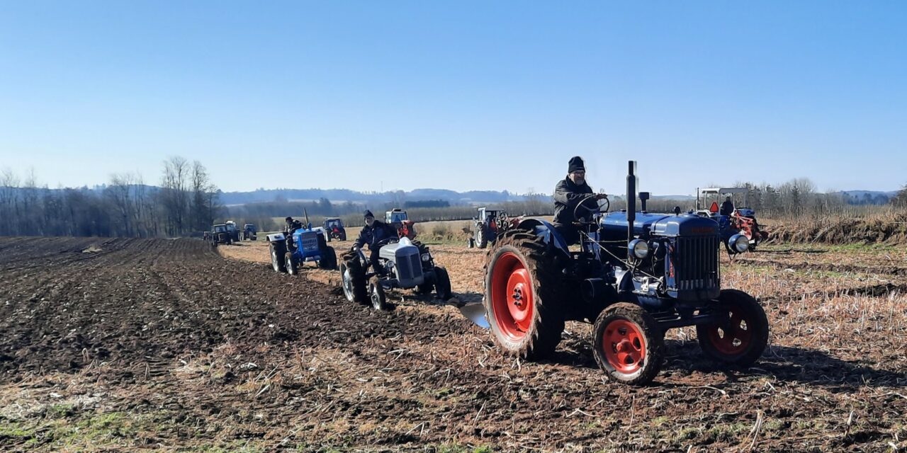 Nu er der gang i Skovrejsnings projektet, Vester Hæsinge Nyskov.