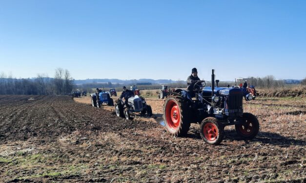 Nu er der gang i Skovrejsnings projektet, Vester Hæsinge Nyskov.