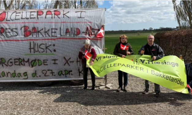 Solcellen gruppen skåler i champagne